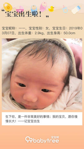 journal_insert_pic_1196541013