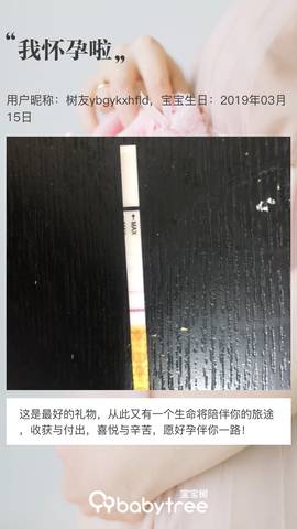 journal_insert_pic_1198964884