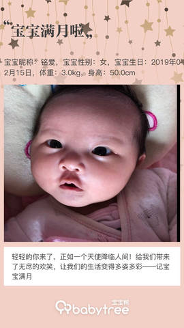 journal_insert_pic_1199320443