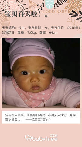 journal_insert_pic_1199095880