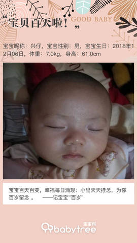 journal_insert_pic_1199064610