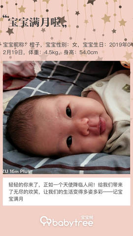 journal_insert_pic_1200915523