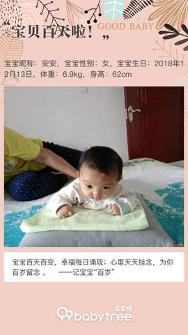 journal_insert_pic_1201716336