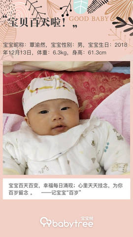 journal_insert_pic_1201451989