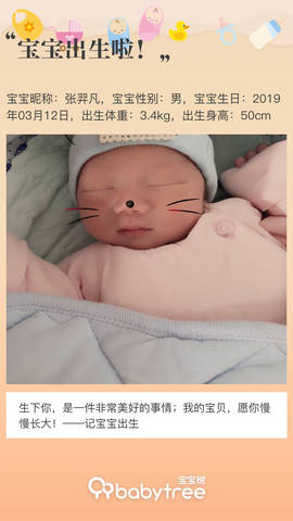 journal_insert_pic_1202147695