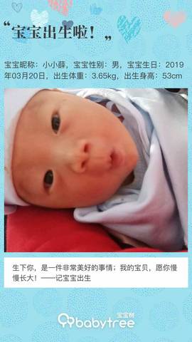 journal_insert_pic_1202186716