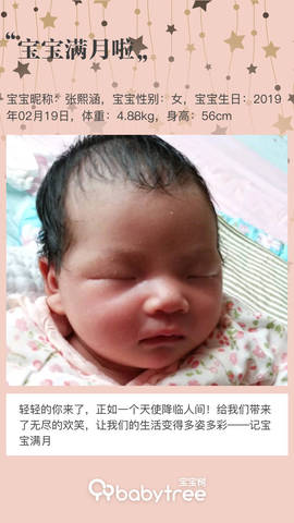 journal_insert_pic_1202329104