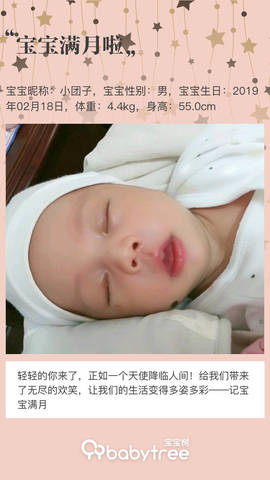 journal_insert_pic_1202332850