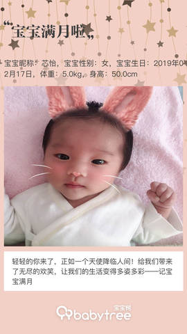 journal_insert_pic_1202874170