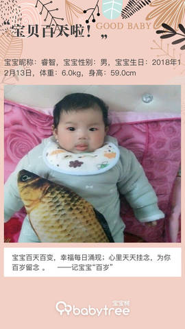 journal_insert_pic_1202552403