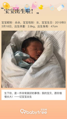 journal_insert_pic_1202774888