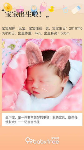 journal_insert_pic_1203039427