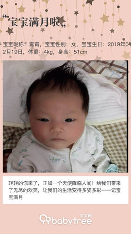 journal_insert_pic_1203627557