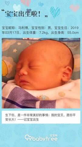 journal_insert_pic_1203857642