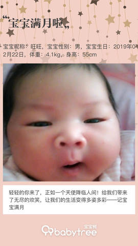 journal_insert_pic_1203575443