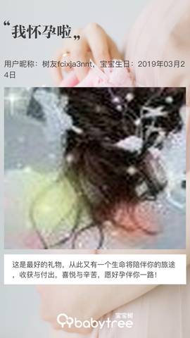 journal_insert_pic_1203834083