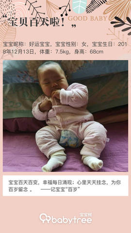 journal_insert_pic_1203906594