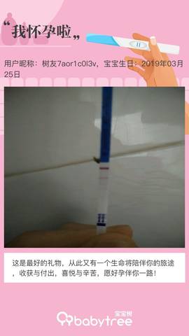 journal_insert_pic_1204523349
