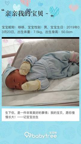 journal_insert_pic_1205681113