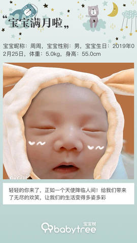 journal_insert_pic_1205378047