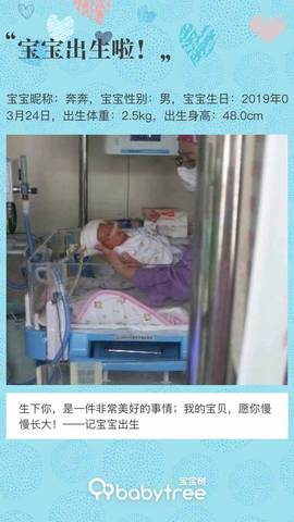 journal_insert_pic_1206134816