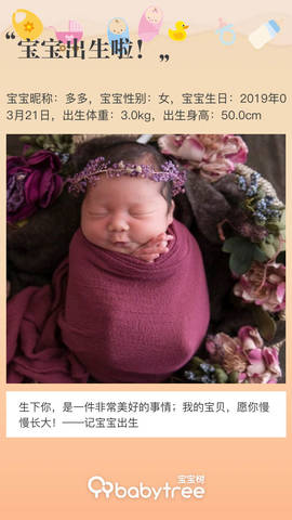 journal_insert_pic_1206192616