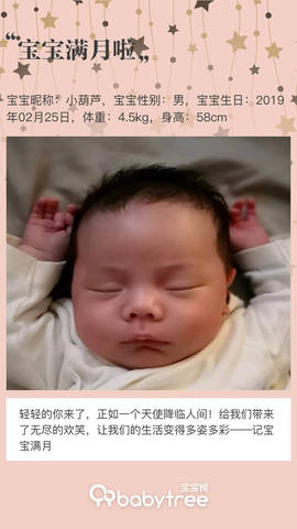 journal_insert_pic_1206006592