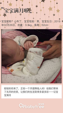 journal_insert_pic_1205909853
