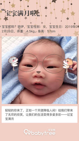 journal_insert_pic_1206182165