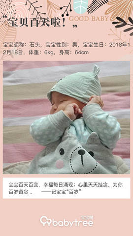 journal_insert_pic_1206849028