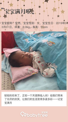 journal_insert_pic_1207009166