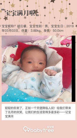 journal_insert_pic_1207055239