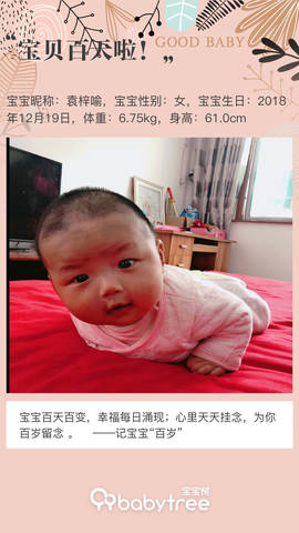 journal_insert_pic_1207275178