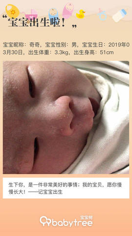 journal_insert_pic_1207695952