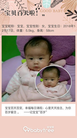 journal_insert_pic_1207545222
