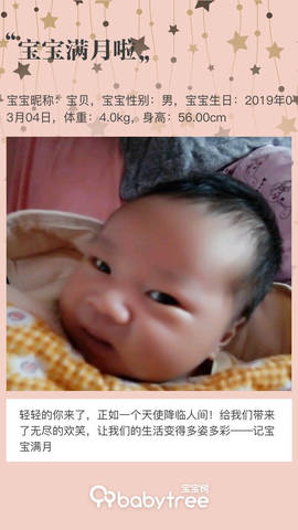 journal_insert_pic_1208459508