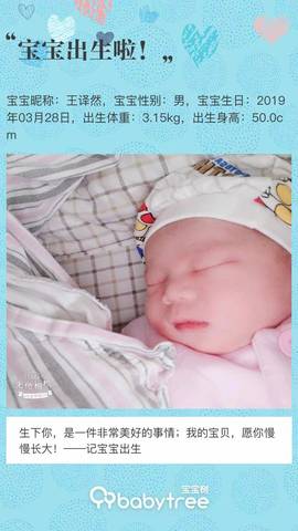 journal_insert_pic_1209023735