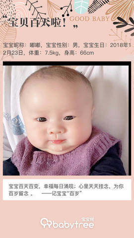 journal_insert_pic_1209024135