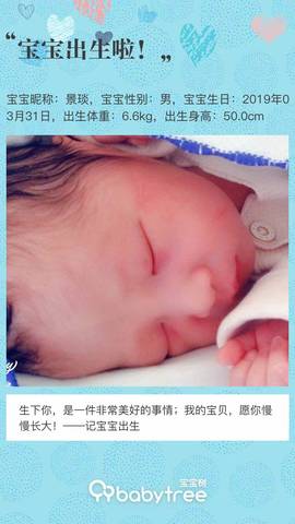journal_insert_pic_1208738495