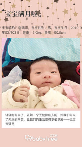 journal_insert_pic_1209473922