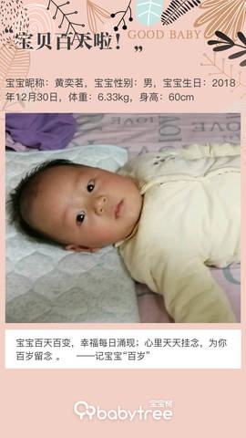 journal_insert_pic_1209332672