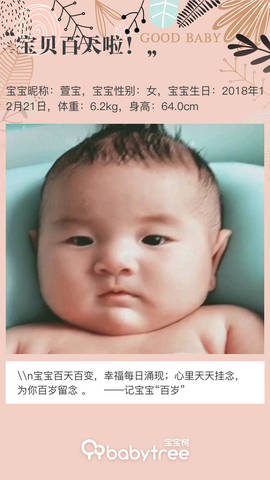 journal_insert_pic_1209846159