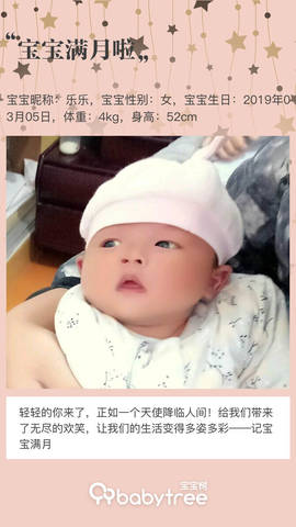 journal_insert_pic_1209859951