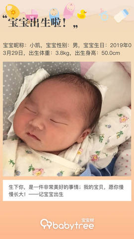 journal_insert_pic_1210162119