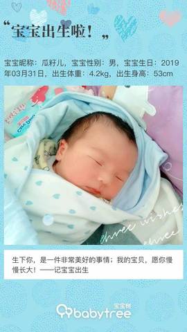 journal_insert_pic_1209873101