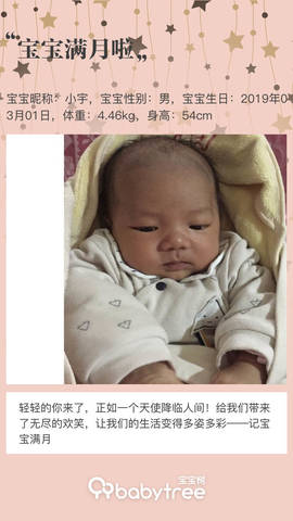 journal_insert_pic_1209894984