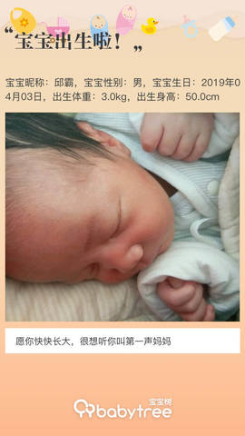 journal_insert_pic_1210828688