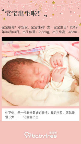 journal_insert_pic_1211025466