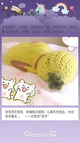 journal_insert_pic_1210995172