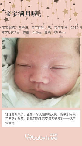 journal_insert_pic_1210983511